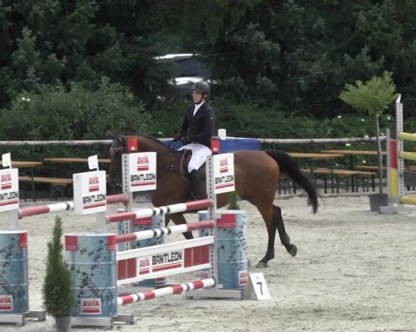 Reitturnier Illertissen 2017