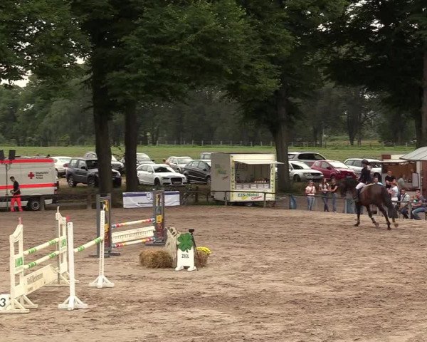 Reitturnier Recklinghausen 2017