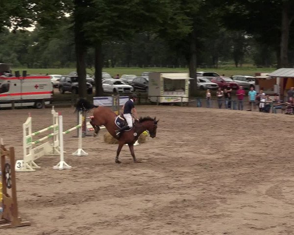 Reitturnier Recklinghausen 2017