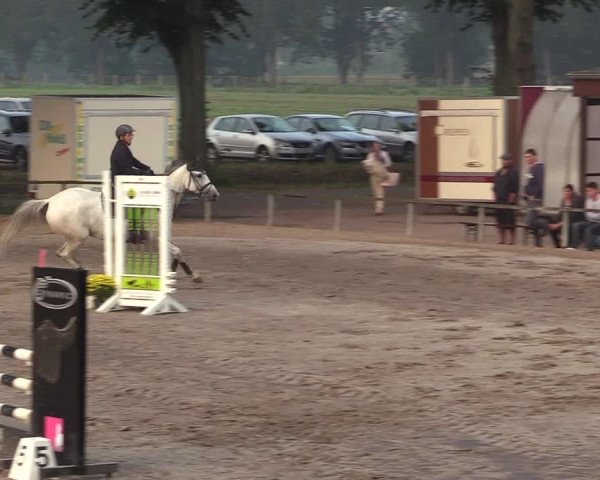 Reitturnier Recklinghausen 2017
