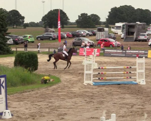 Reitturnier Recklinghausen 2017