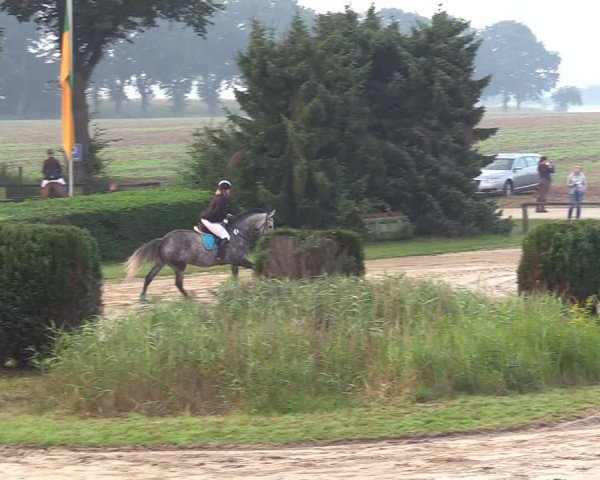 Reitturnier Recklinghausen 2017