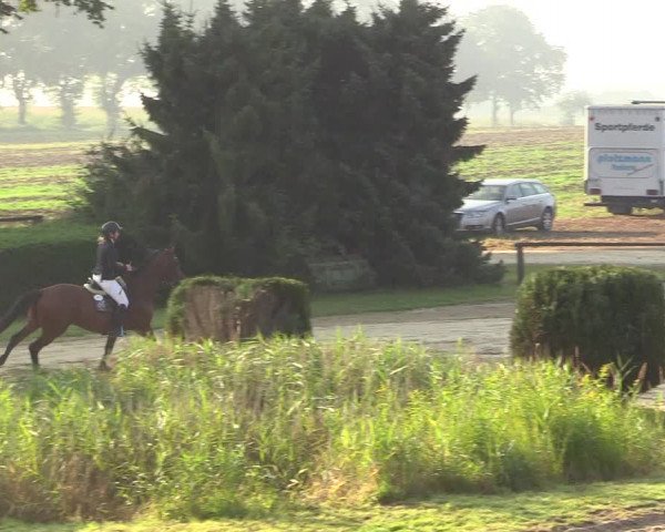 Reitturnier Recklinghausen 2017