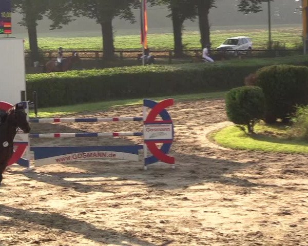 Reitturnier Recklinghausen 2017
