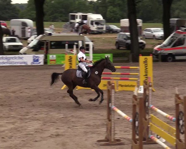 Reitturnier Recklinghausen 2017