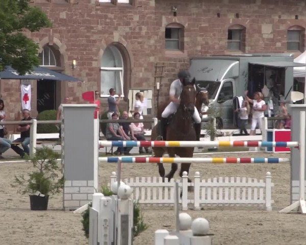 Reitturnier Zweibrücken 2017