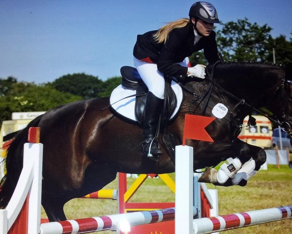 Zuchtstute Larissa (Deutsches Reitpony, 2001, von Discovery AA)