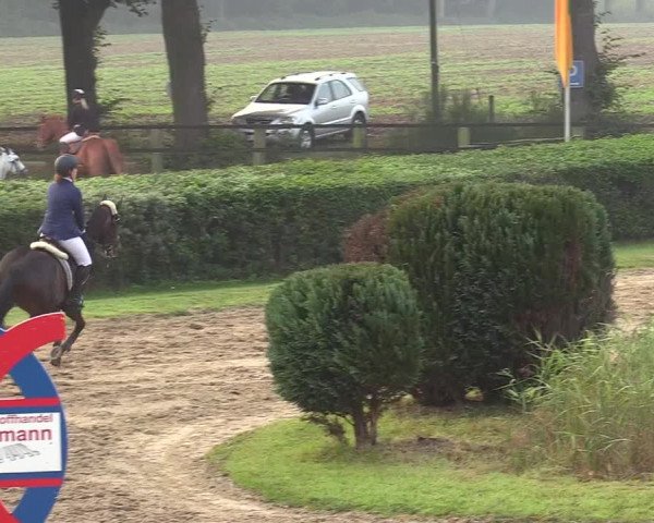 Reitturnier Recklinghausen 2017