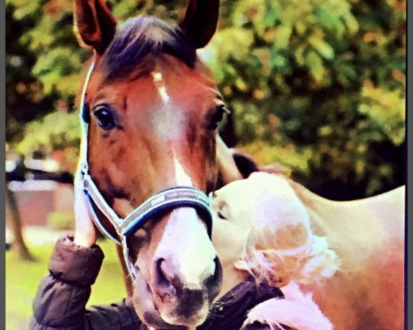 horse Rüpel 10 (Hanoverian, 2006, from Rascalino)