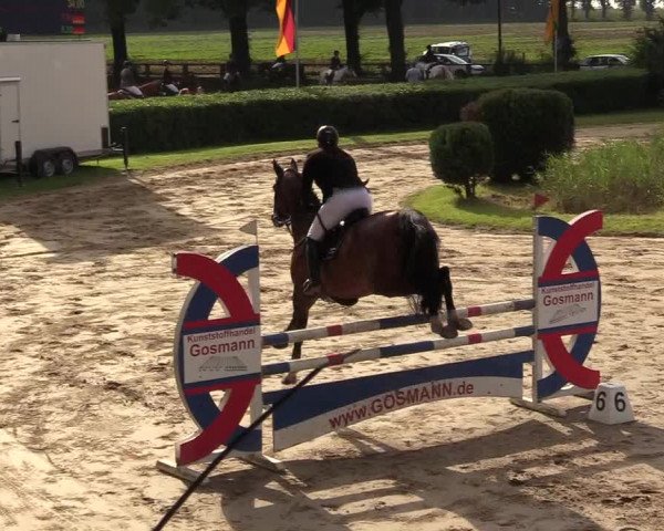 Reitturnier Recklinghausen 2017