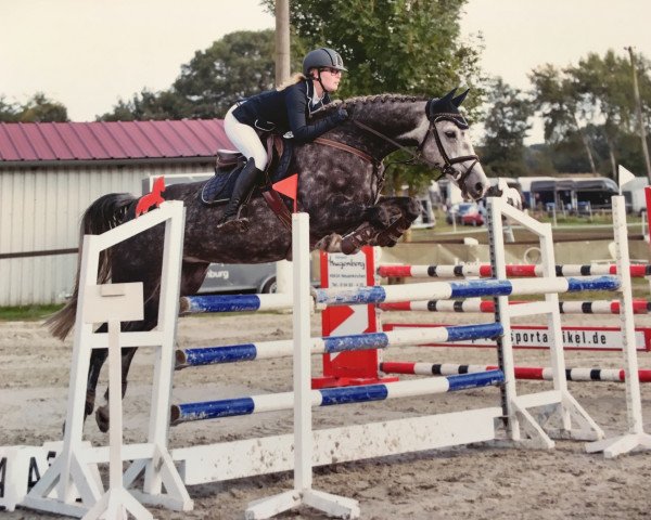 broodmare Coupes Roeschen (Hanoverian, 2009, from Coupe de Coeur 2)