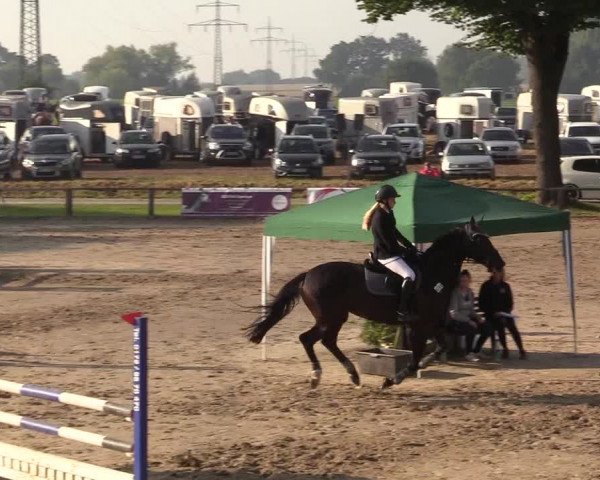 Reitturnier Recklinghausen 2017