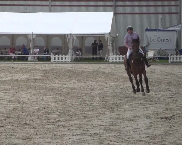 Reitturnier Zweibrücken 2017
