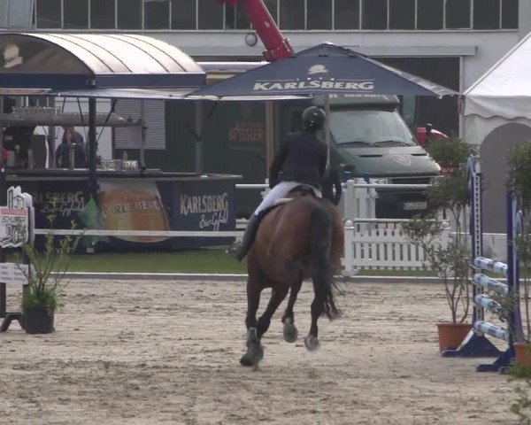 Reitturnier Zweibrücken 2017