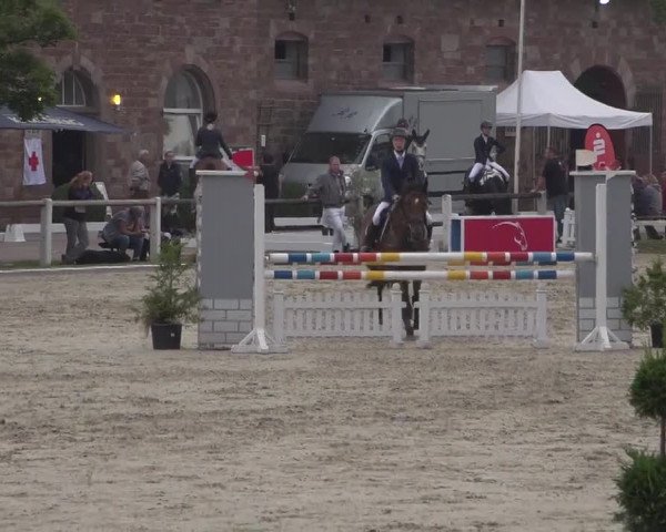 Reitturnier Zweibrücken 2017