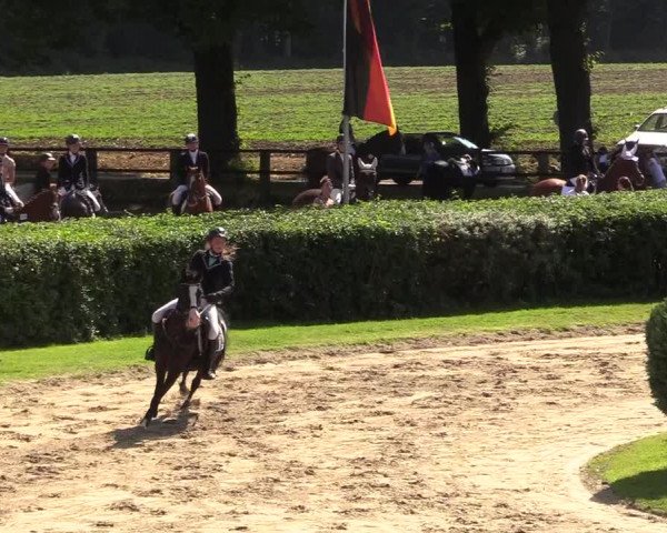 Reitturnier Recklinghausen 2017