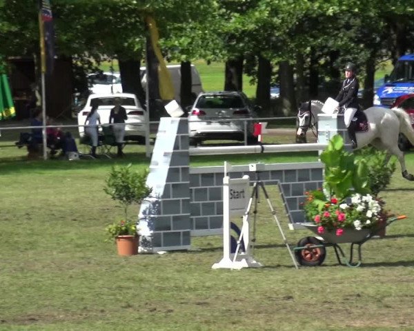 Reitturnier Zobbenitz 2017