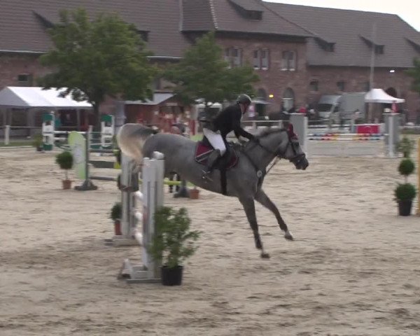 Reitturnier Zweibrücken 2017