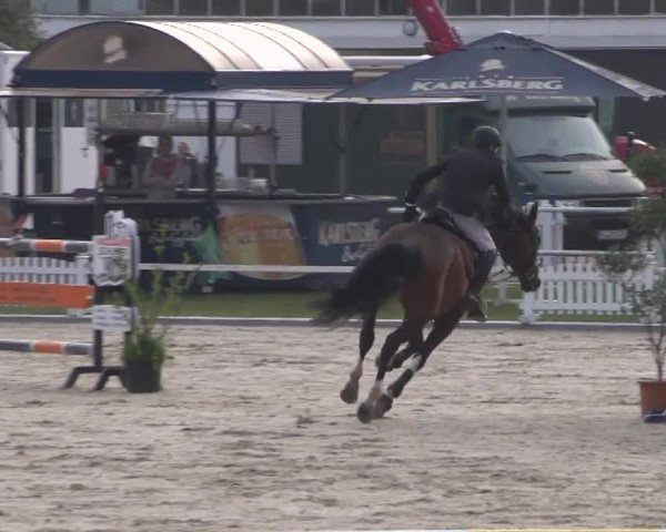 Reitturnier Zweibrücken 2017