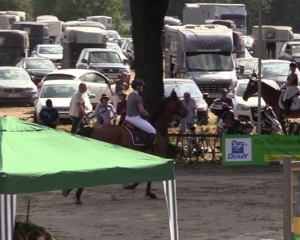 Reitturnier Recklinghausen 2017
