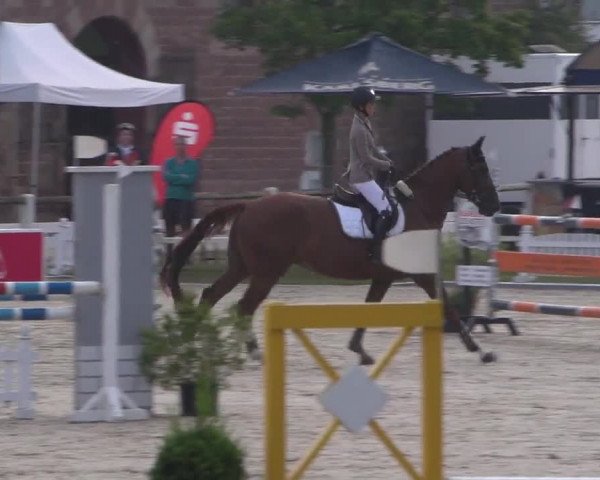 Reitturnier Zweibrücken 2017