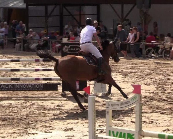 Reitturnier Recklinghausen 2017