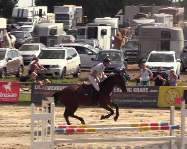 Reitturnier Recklinghausen 2017