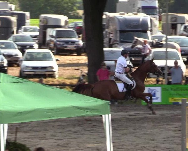 Reitturnier Recklinghausen 2017