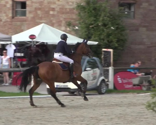 Reitturnier Zweibrücken 2017