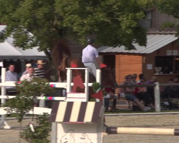 Reitturnier Zweibrücken 2017
