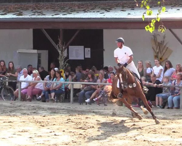 Reitturnier Recklinghausen 2017