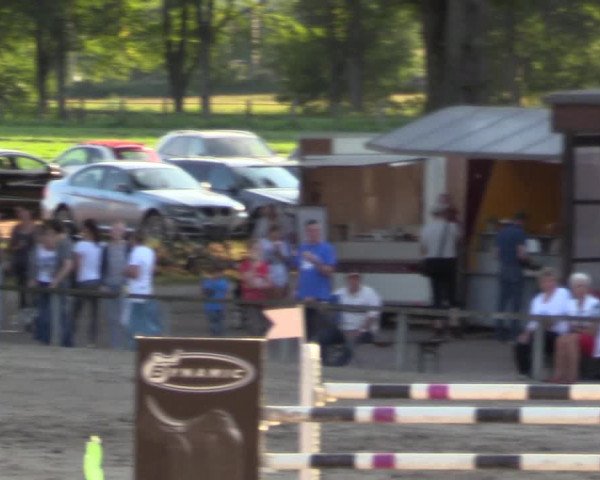 Reitturnier Recklinghausen 2017