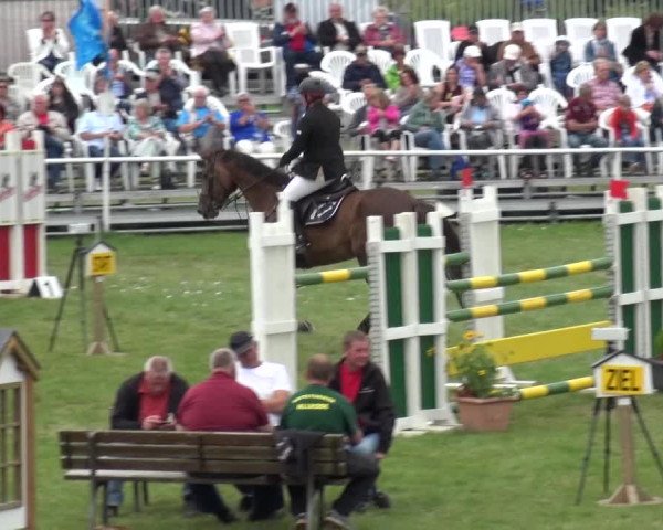 Reitturnier Allrode 2017
