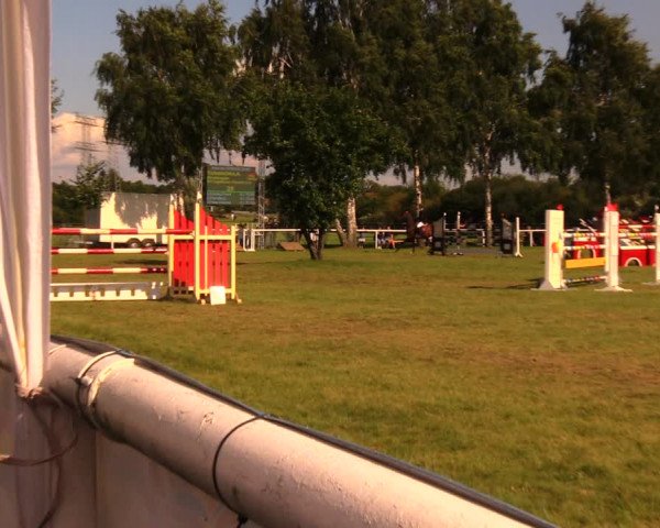 Reitturnier Berlin-Malchow 2017
