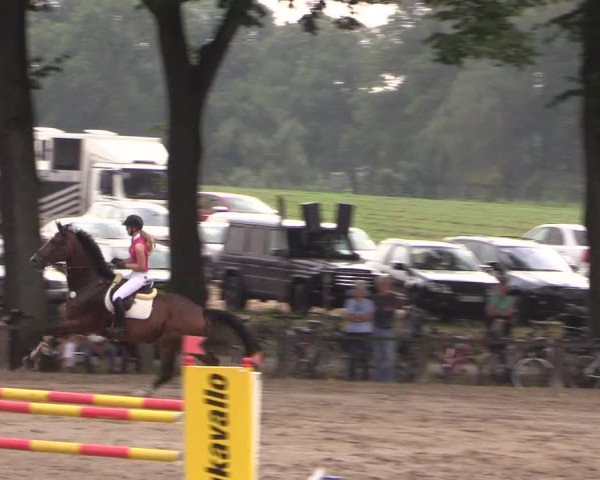 Reitturnier Recklinghausen 2017