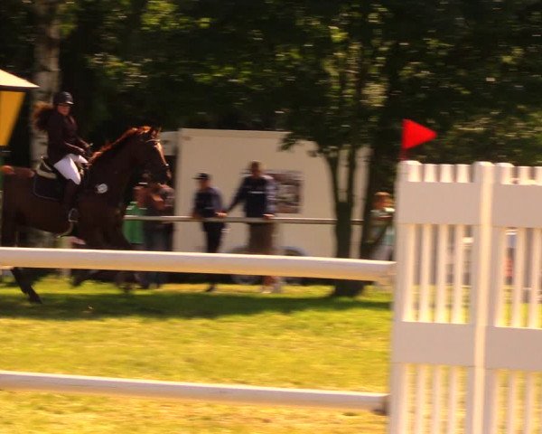 Reitturnier Berlin-Malchow 2017