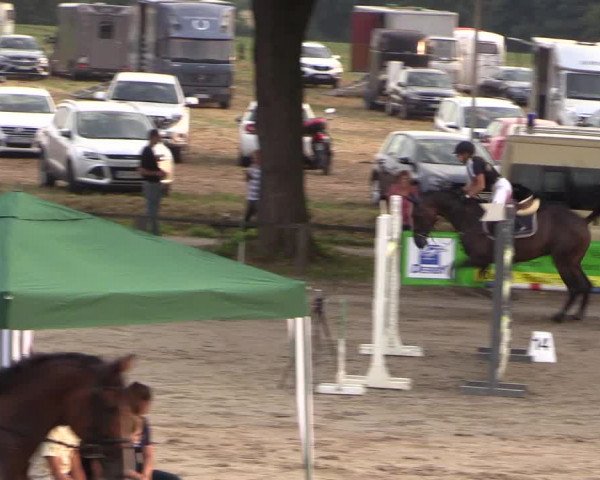 Reitturnier Recklinghausen 2017
