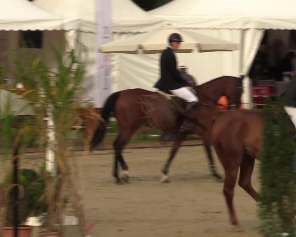 Equus Colonius - Reitanlage Brüse Köln 2021