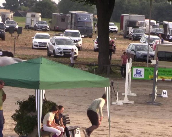 Reitturnier Recklinghausen 2017