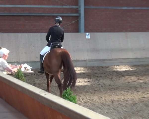 Reitturnier Neuss-Allerheiligen 2017