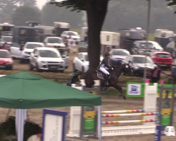 Reitturnier Recklinghausen 2017