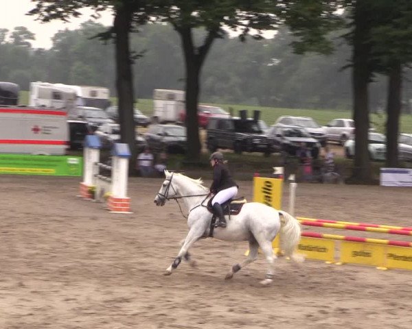 Reitturnier Recklinghausen 2017