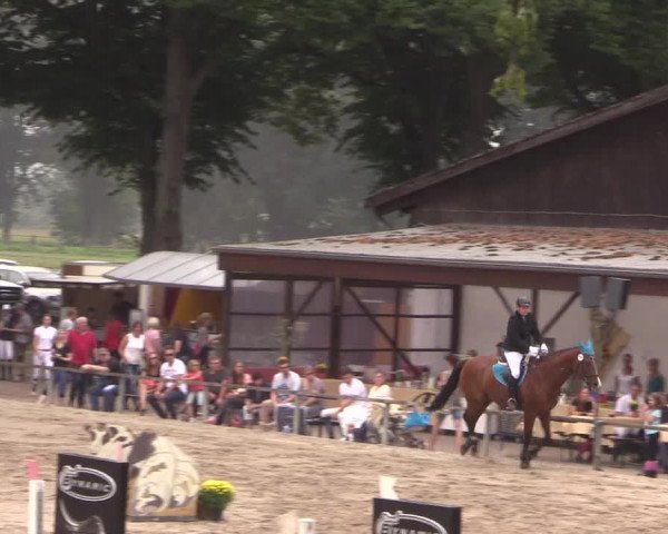 Reitturnier Recklinghausen 2017
