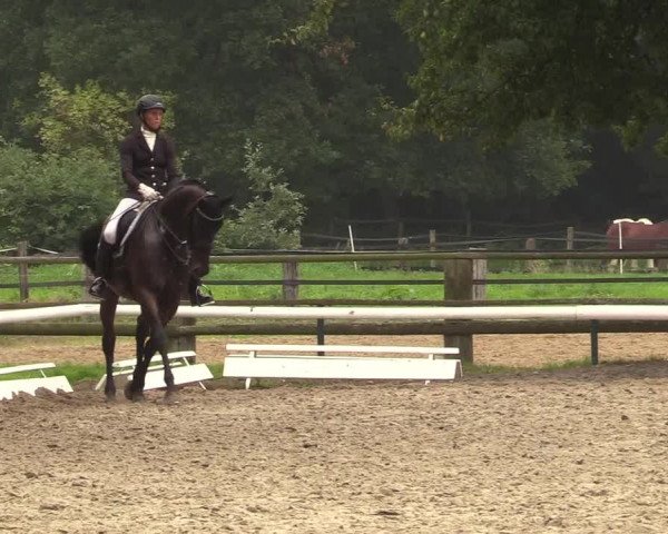 Reitturnier Recklinghausen 2017