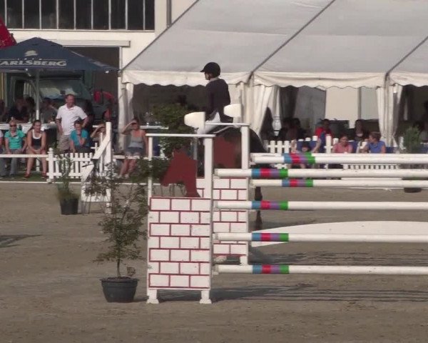 Reitturnier Zweibrücken 2017