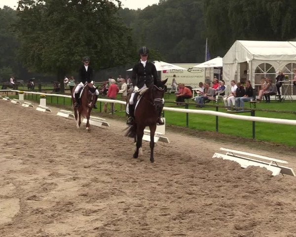 Reitturnier Recklinghausen 2017
