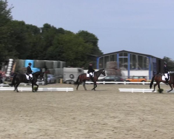 Reitturnier Bühren-Breckerfeld 2017