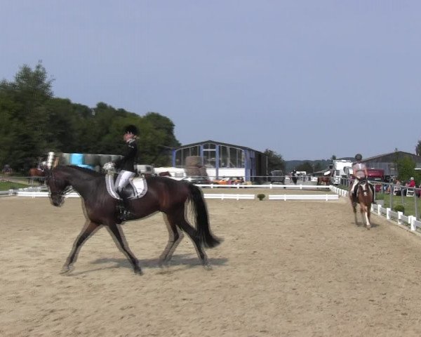 Reitturnier Bühren-Breckerfeld 2017