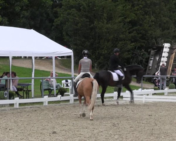 Reitturnier Bühren-Breckerfeld 2017