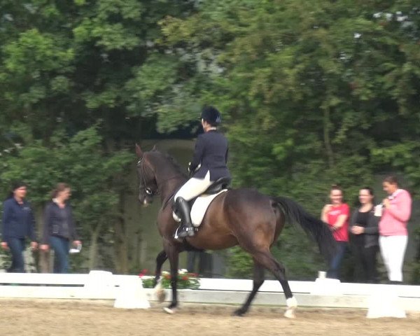 Reitturnier Düren - An der Kuhbrücke 2017